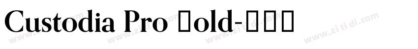 Custodia Pro Bold字体转换